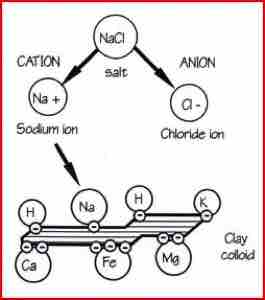 Nutrient Availability,Waternet Theydon UK